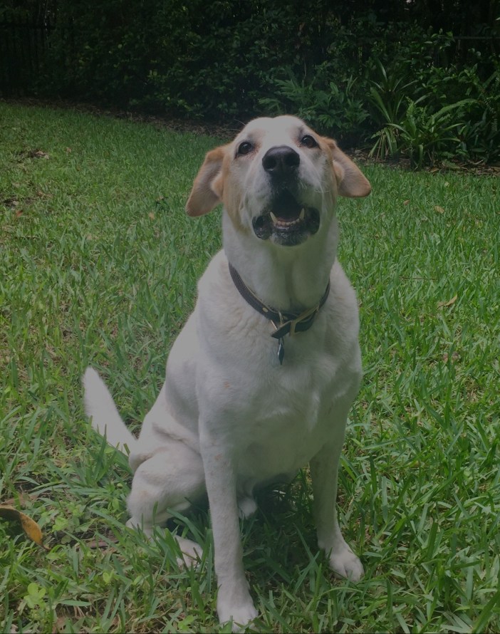 01f800b1c5f2b3b62b2acb76b093076d3053659350